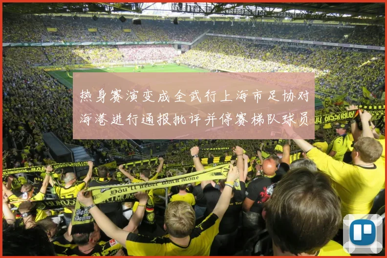 热身赛演变成全武行上海市足协对海港进行通报批评并停赛梯队球员四场