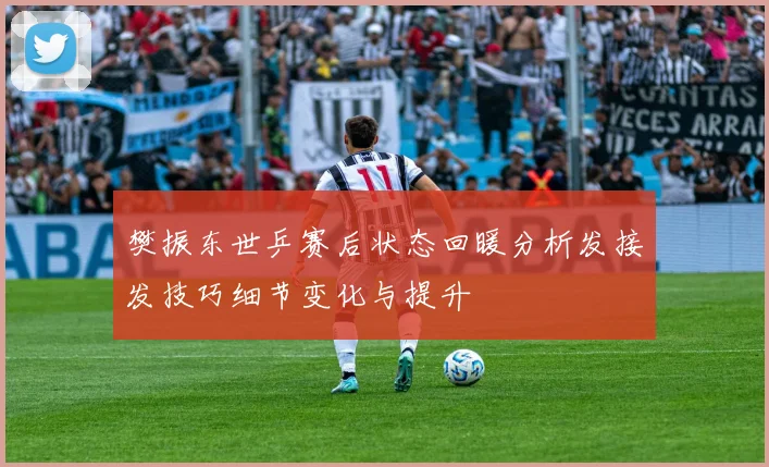 樊振东世乒赛后状态回暖分析发接发技巧细节变化与提升